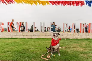 7011 Woodford Wy, Austin, TX 78744 - Photo 9