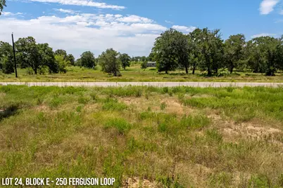 250 Ferguson Loop, Dale, TX 78616 - Photo 3
