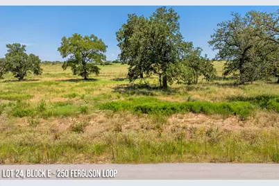 250 Ferguson Loop, Dale, TX 78616 - Photo 5