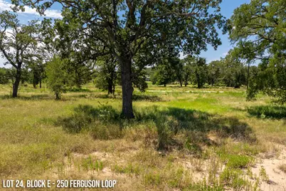 250 Ferguson Loop, Dale, TX 78616 - Photo 1
