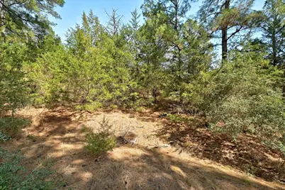 500 Pine Valley Loop, Smithville, TX 78957 - Photo 13