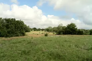 1435 Co Rd 108, Burnet, TX 78611 - Photo 7