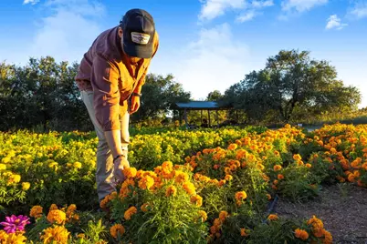 13977 Fm 2325, Blanco, TX 78606 - Photo 5