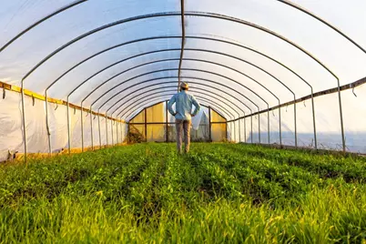 13977 Fm 2325, Blanco, TX 78606 - Photo 9