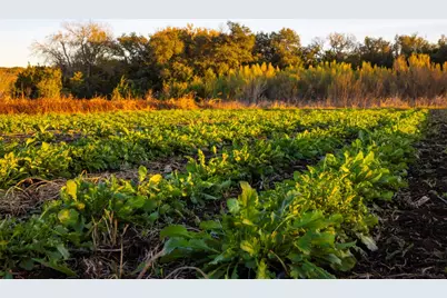 13977 Fm 2325, Blanco, TX 78606 - Photo 25
