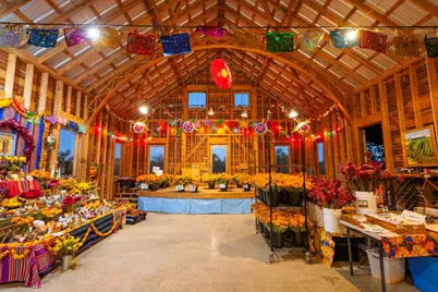 13977 Fm 2325, Blanco, TX 78606 - Photo 17