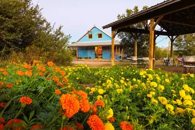 13977 Fm 2325, Blanco, TX 78606 - Photo 13