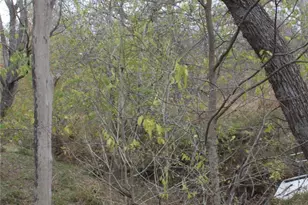 3816 Fm 1854, Dale, TX 78616 - Photo 25