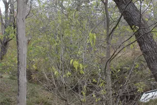 3816 Fm 1854, Dale, TX 78616 - Photo 25
