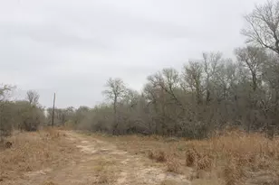 3816 Fm 1854, Dale, TX 78616 - Photo 11