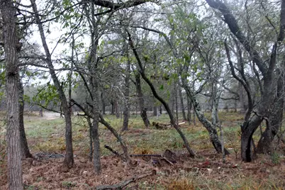 3816 Fm 1854, Dale, TX 78616 - Photo 5