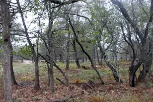 3816 Fm 1854, Dale, TX 78616 - Photo 5