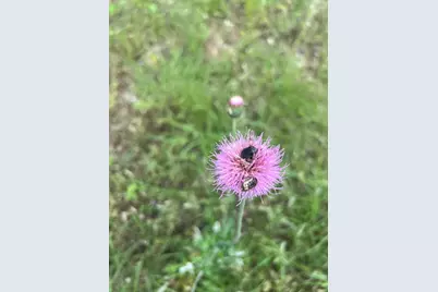 16205 Big Oak Circle, Leander, TX 78641 - Photo 21