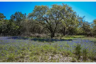 16205 Big Oak Circle, Leander, TX 78641 - Photo 7