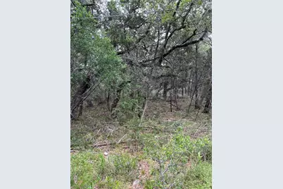 16205 Big Oak Circle, Leander, TX 78641 - Photo 29