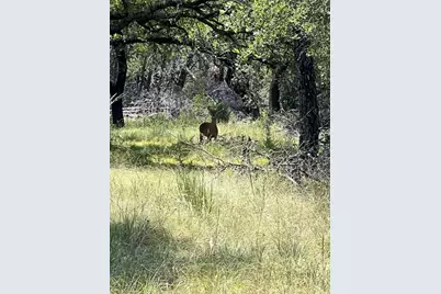 16205 Big Oak Circle, Leander, TX 78641 - Photo 19