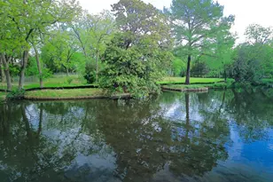 4703 Laguna Ln, Austin, TX 78746 - Photo 23