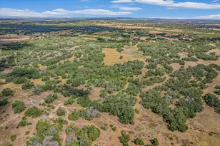 878 Ranch Road 2766, Johnson City, TX 78636 - Photo 33