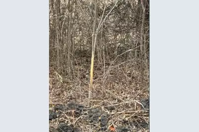 Tbd Fm 3061, Thorndale, TX 76577 - Photo 5