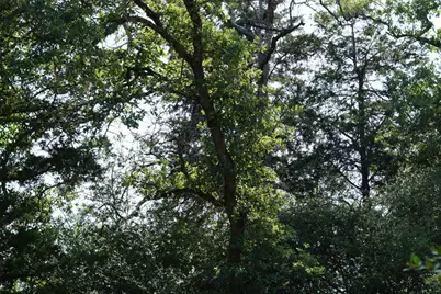 5857 Cr 322, Rockdale, TX 76567 - Photo 31