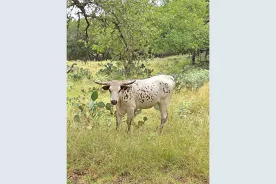 27846 Natural Bridge Caverns Road, San Antonio, TX 78266 - Photo 39