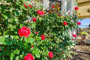 295 Pecos River Xing, Dripping Springs, TX 78620 - Photo 27