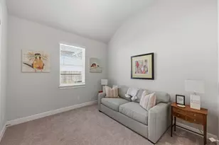 295 Pecos River Xing, Dripping Springs, TX 78620 - Photo 19