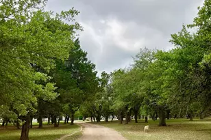 285 Heitzler Ln, Driftwood, TX 78619 - Photo 5