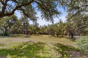 1003 Pier Branch Rd, Dripping Springs, TX 78620 - Photo 5