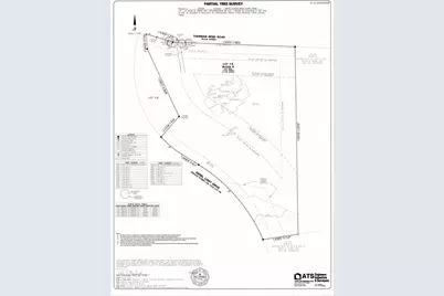 701 N Angel Light Drive, Spicewood, TX 78669 - Photo 7