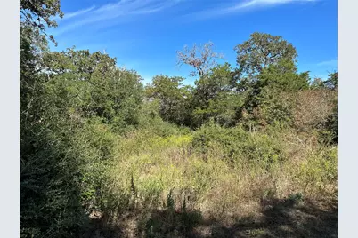 105 Colony Line Trail, Dale, TX 78616 - Photo 13