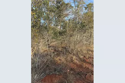 156 and 160 Helemano Drive, Bastrop, TX 78602 - Photo 7