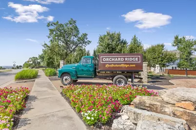 301 Majestic Cedar Court, Liberty Hill, TX 78642 - Photo 27