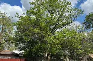 106 N 6th St, Thorndale, TX 76577 - Photo 1