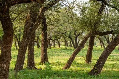 00 County Rd 284, Liberty Hill, TX 78642 - Photo 33