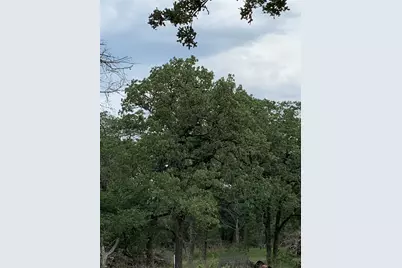 276 Ott Road, Rosanky, TX 78953 - Photo 17