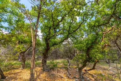 2934 Elm Terrace Lane, Wimberley, TX 78676 - Photo 25