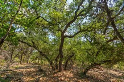 2934 Elm Terrace Lane, Wimberley, TX 78676 - Photo 21