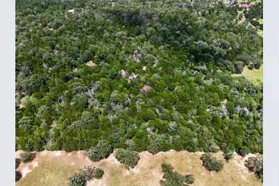 Tbd Gotier Trace Road, Paige, TX 78659 - Photo 27