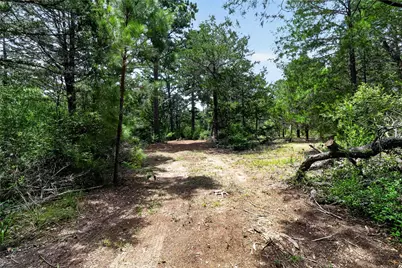 Tbd Gotier Trace Road, Paige, TX 78659 - Photo 3