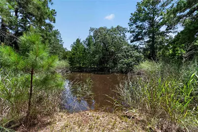 Tbd Gotier Trace Road, Paige, TX 78659 - Photo 5