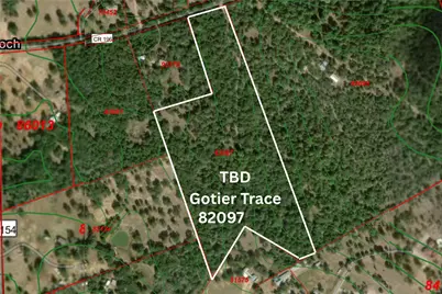 Tbd Gotier Trace Road, Paige, TX 78659 - Photo 1