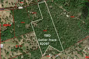 Tbd Gotier Trace Rd, Paige, TX 78659 - Photo 1