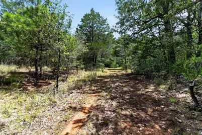 Tbd Gotier Trace Road, Paige, TX 78659 - Photo 11