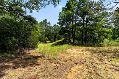 Tbd Gotier Trace Road, Paige, TX 78659 - Photo 9