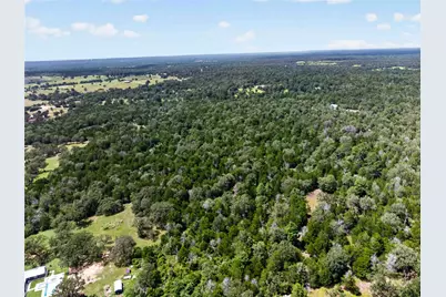 Tbd Gotier Trace Road, Paige, TX 78659 - Photo 25