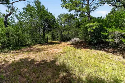 Tbd Gotier Trace Road, Paige, TX 78659 - Photo 7