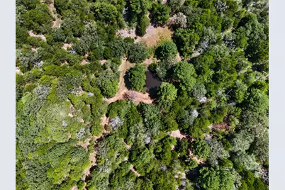 Tbd Gotier Trace Road, Paige, TX 78659 - Photo 21