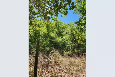 Lot-49 Flaming Oak Drive, Bastrop, TX 78602 - Photo 3