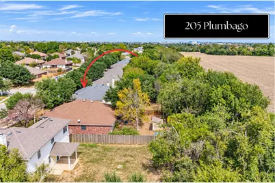 205 Plumbago Drive, Pflugerville, TX 78660 - Photo 31